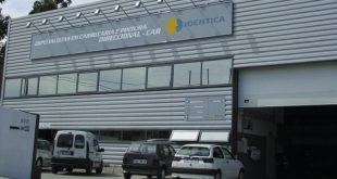 “As oficinas procuram cada vez mais parceiros que os ajudem”, Ricardo Mattos Coelho, Identica